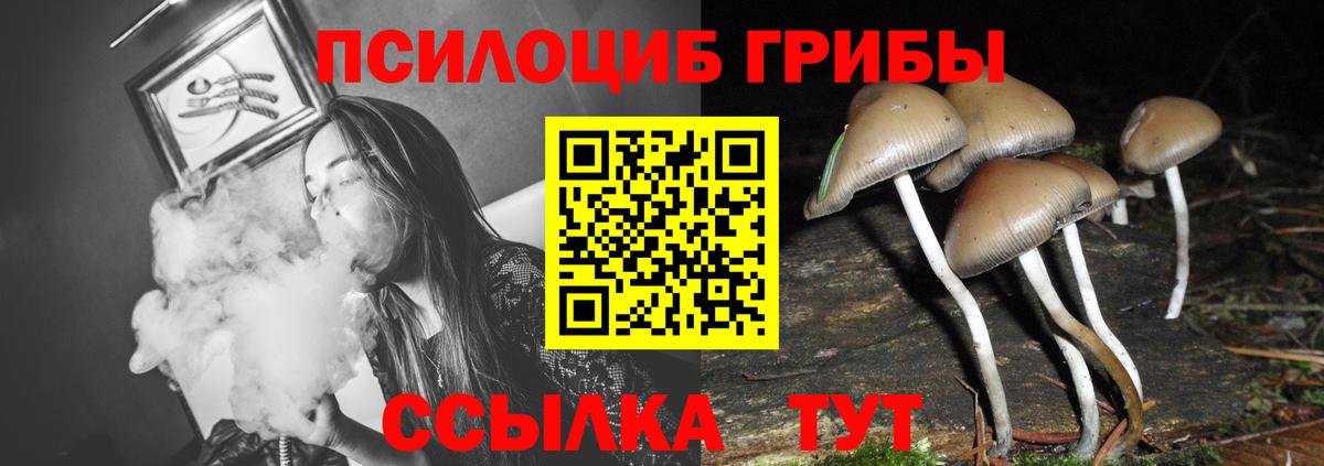 Богородицк  Галлюциногенные грибы ЛСД  Вход с VPN 